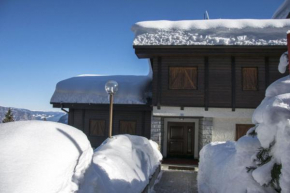 Delizioso appartamento a due passi dalle piste, Folgarida